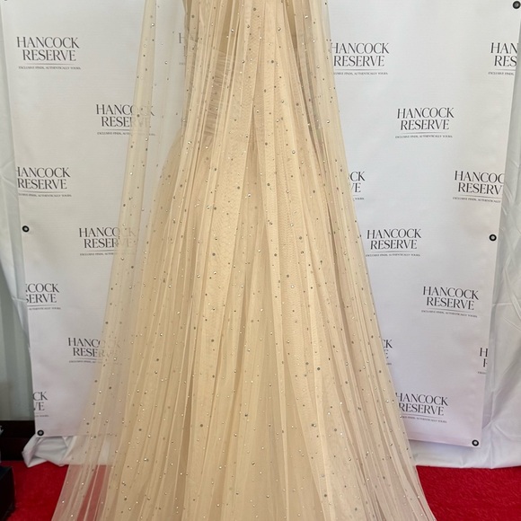 Tarik Ediz Edmon Crystal Cape Gown Stone Champagne US 14 Evening Couture - Picture 13 of 17